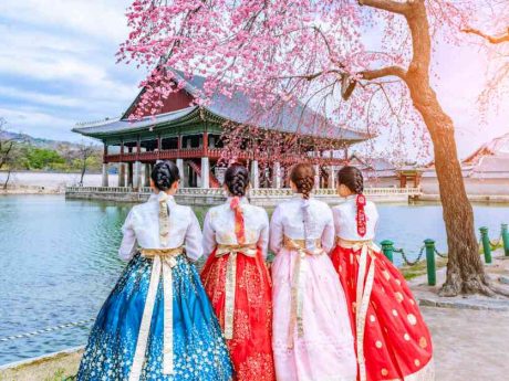 Hướng dẫn viên tại Hàn Quốc